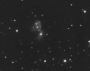 NGC 2444 | Lynx' Ring Galaxy | Lynx