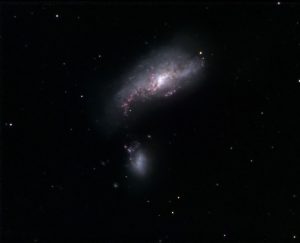 NGC 4490 | Cocoon Galaxy | Arp 229 | mit Begleiter NGC 4485 | Canes Venatici