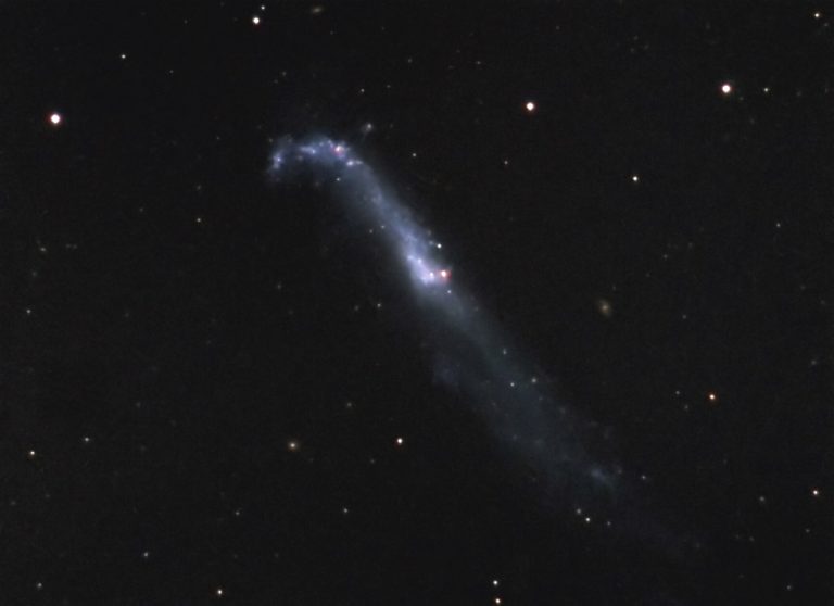 NGC 4656 | Ursa Major