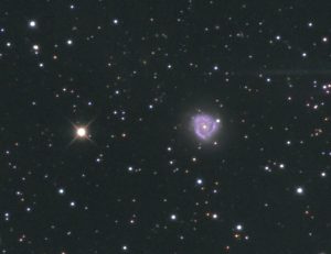 NGC 7137 | Pegasus | Detail