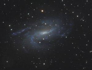 NGC 925 Triangulum